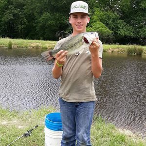 Meet your Posher, Samuel